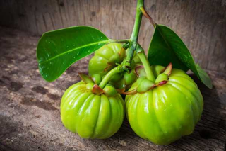 Illustration for article titled Fat Loss And Garcinia Cambogia